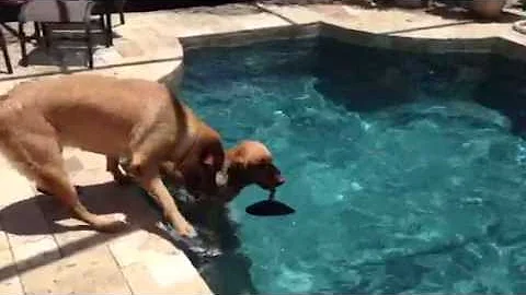 Miko goes diving