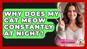 Why Does My Cat Meow Constantly At Night? - Happy Cat Handbook