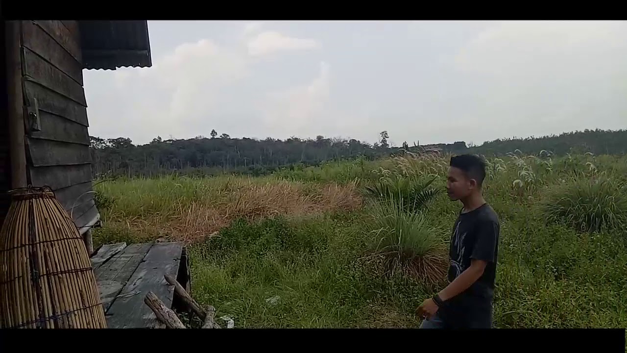 Pokak Sebua Uma Cerita Lucu Dari Pelalawan YouTube Pokak Sebua Uma Cerita Lucu Dari Pelalawan YouTube
