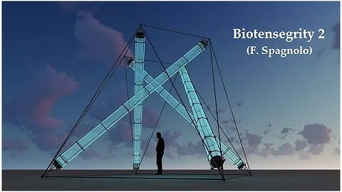 (Bio)Tensegrity 2