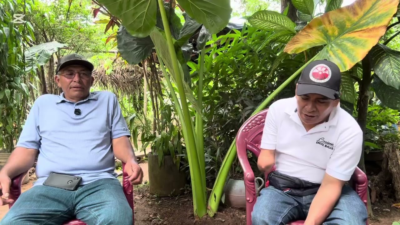 HISTORIA DE MAURICIO EN LA OFENSIVA HASTA EL TOPE 1989