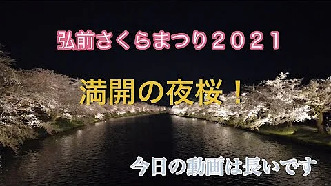 天保山さくらまつり21 Mp3