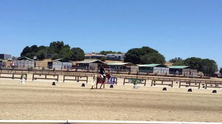 Handy and Lisa at Woodside July 2013