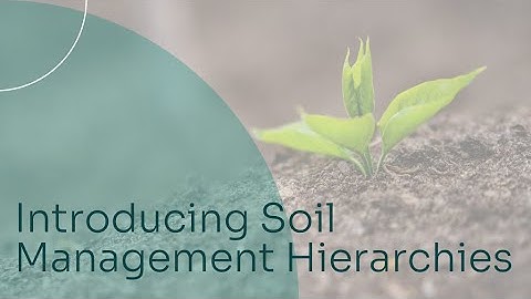 Introducing the SocEnv Soil Management Hierarchies