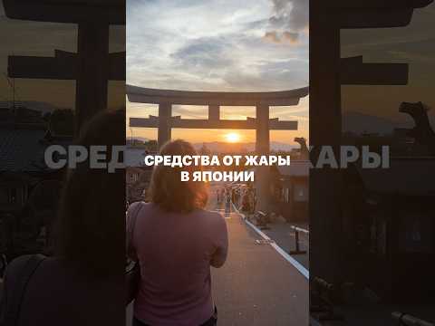 ЧЕМ СПАСАЮТСЯ ЯПОНЦЫ ЛЕТОМ #япония #путешествиевяпонию #путешествия