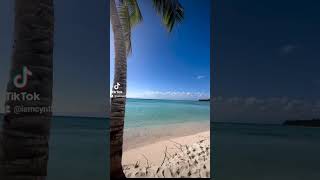 How To Buy An Investment Property In The Dominican Republicdominicanrepublicrealestate