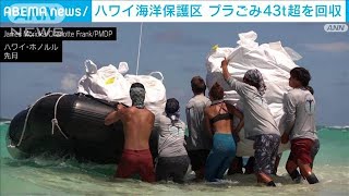 ハワイの海洋保護区でプラごみ43トン以上を回収　大半が漁網(2022年8月3日)