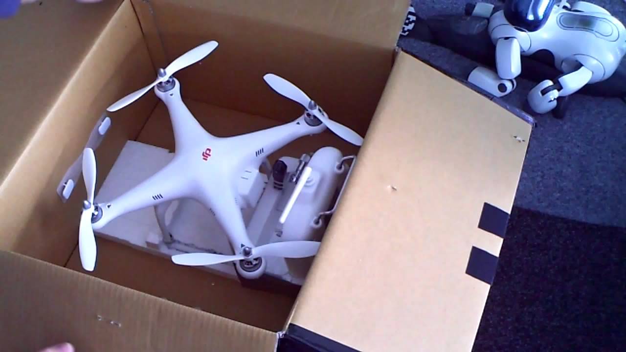 DJI Phantom Carrying case