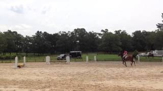 18in/2ft jump off