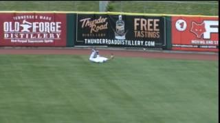 Jacob Hannemann's Diving Catch - May 16