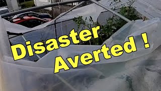 Disaster Averted