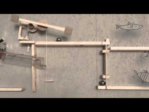 Rube Goldberg machine: Enjoy Your Rights #Libertà