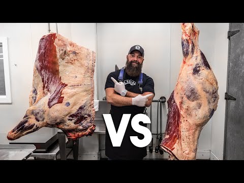 Cow Front Quarter Vs Hind Quarter! | The Bearded Butchers