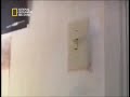 وثائقي.خلق ليفترس.الكلبيات القاتلة