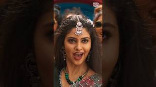 Feel The Vibe, Feel The D