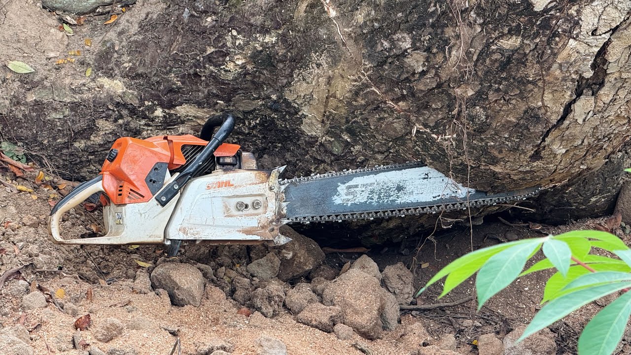 On the Edge... 2 hard trees successfully completed‼️