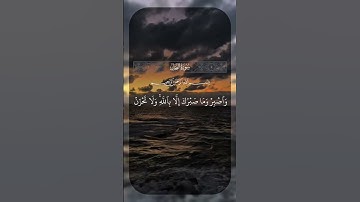 #تلاوات #اكسبلور #تلاوة_خاشعة #راحة_نفسية #القرآن_الكريم #تلاوات_خاشعة #لايك #تلاوة_هادئة #تيك_توك