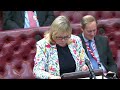 Lords debates Planning and Infrastructure Bill