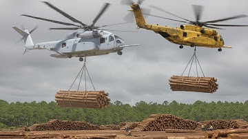 Cách mà Người Mỹ Khai Thác và Vận Chuyển 1.000 tấn Gỗ mỗi ngày