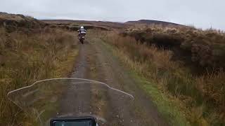 Going Down? Oh So Slowly...