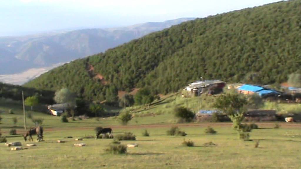 DAMLAÇİMEN YAYLASI (DEREPINAR MAH-2. BÖLÜM)