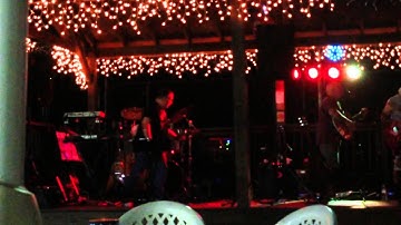 chauvet 4 bar flex lights at a gig