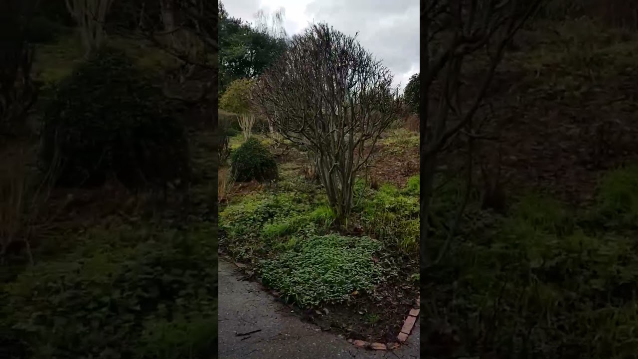 A visit to Crow🦅Nest Park 