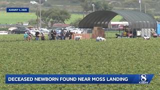 Umbilical cord still attached to dead newborn found near Moss Landing, witness said