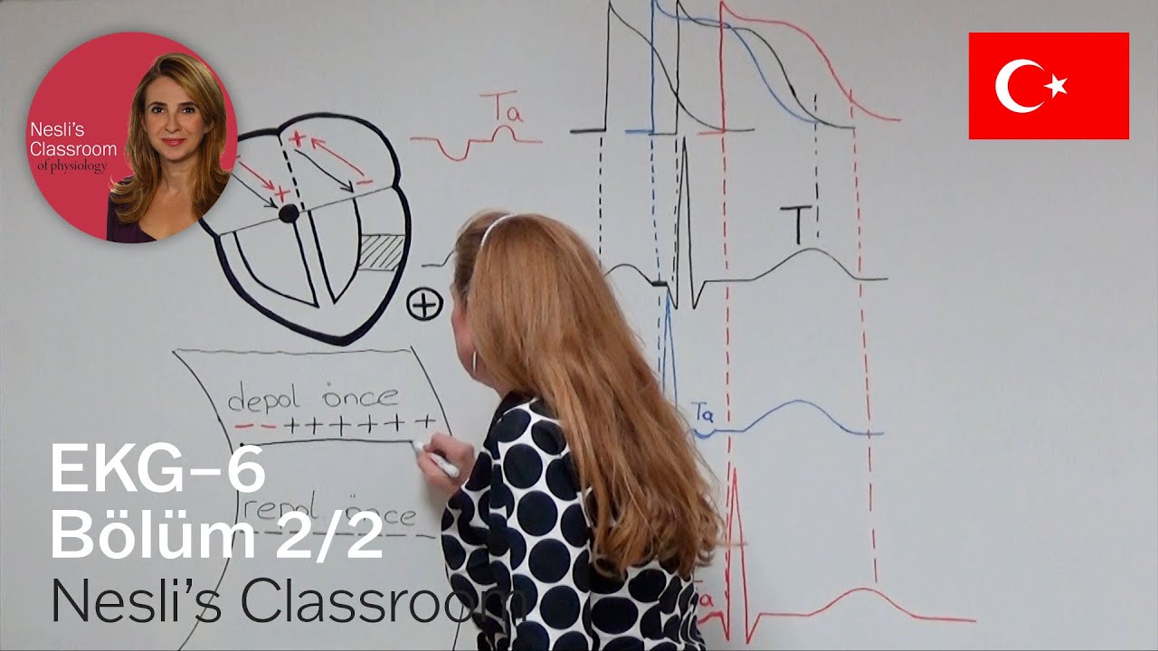 EKG 6 bölüm2 ventriküllerin T dalgası