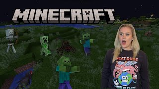 I Didnt Kill The Parrot Minecraft