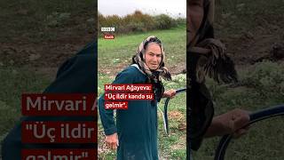 İçməli su axtaran kənd sakinləri: “Duzlu suyu verəcəm mala, öləcək” screenshot 2