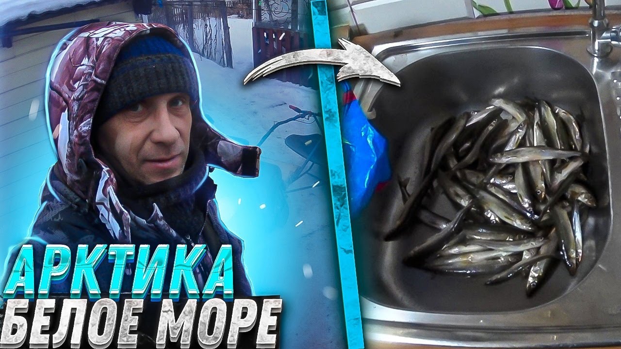 Я Её Дождался!Порол до темноты так,что огурцами запахло!Чуть в Баню не ...