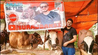 COWS And GOATS Kay Liye VIP SETUP Laga Liya | ARAIN SETUP