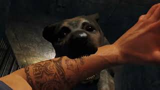 Far Cry 3 Insanity Intermission: Lost Expedition - Testing Unit
