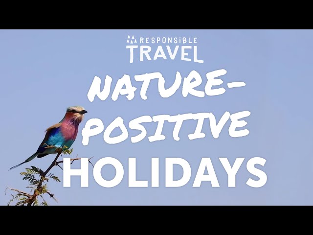 Responsible Travel: Nature-Positive Holidays