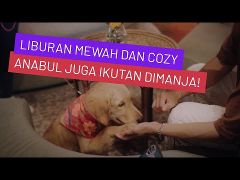 Liburan Komplit di Movenpick Jimbaran – Suite Nyaman, Cafe Pet Friendly, & Ice Cream Swiss!