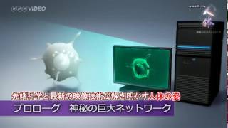 NHKスペシャル 人体　神秘の巨大ネットワーク ＰＲ動画