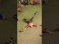 🍀 Top Strategy Games : Doomsday: Last Survivors 🪓 #doomsdaylastsurvivors #topstrategygames