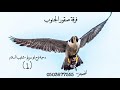 جديد 2019 فرقة صقور الجنوب معولين خلي يا طير يمان امير ابو عبود وعمر ابو عياده وصلاح ابو رقيق جديد 2019 فرقة صقور الجنوب معولين خلي يا طير يمان امير ابو عبود وعمر ابو عياده وصلاح ابو رقيق