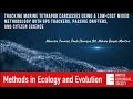 Video abstract - Tracking marine tetrapod carcasses, passive drifters and citizen science