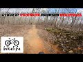 Tour coldwater mountain mtb trails  alabama mountain biking at its finest  bomb dog  goldilocks