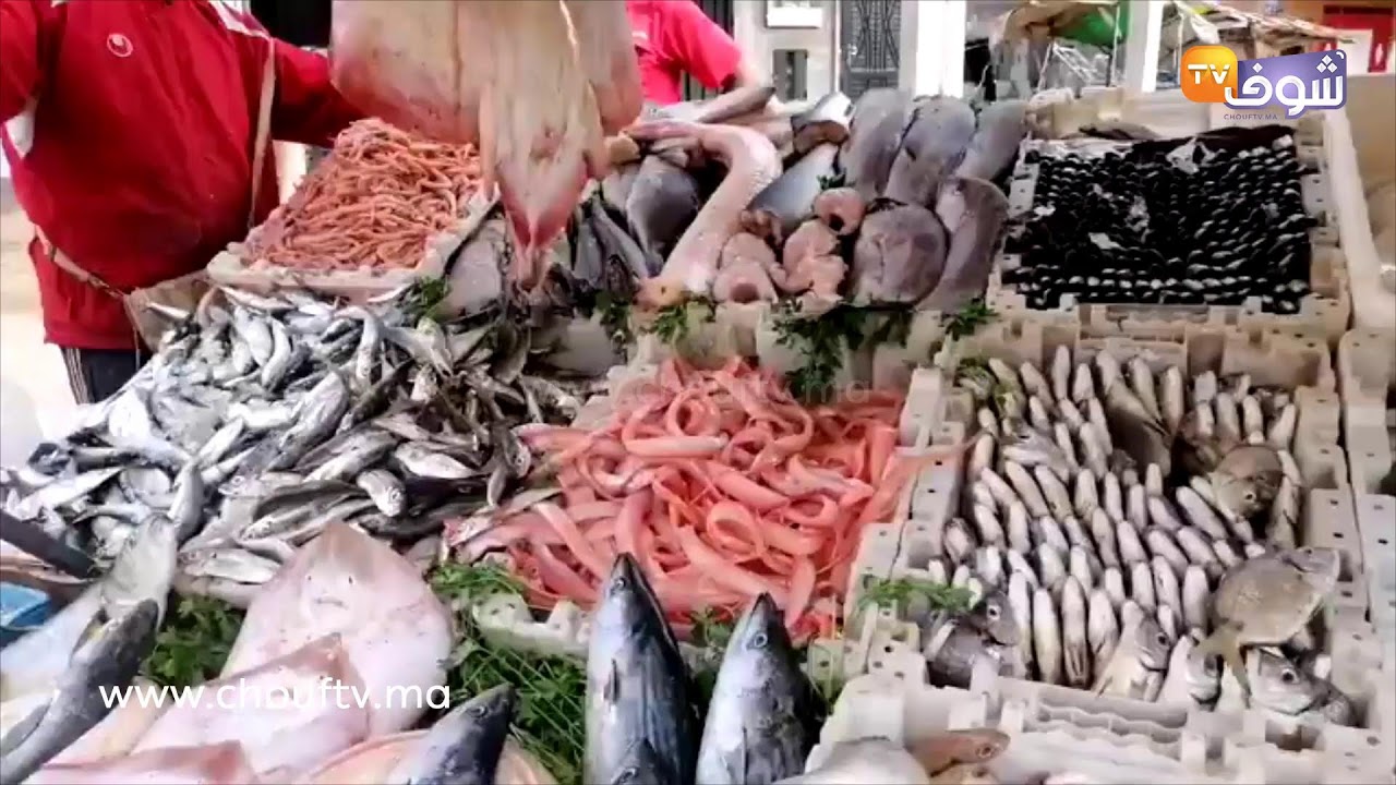 مباشرة من مراكش: الحوت موجود بالسوق وبالأنواع ديالو .. شوفو الأثمنة ديال كل نوع فين واصلة