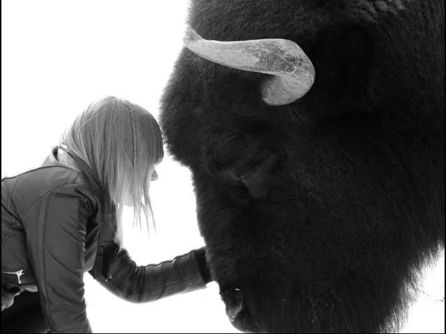 From BLACK MIRRORS amp G nther Kimmich Official Video Gallery BLACK MIRRORS &; Günther Kimmich (Official Video)