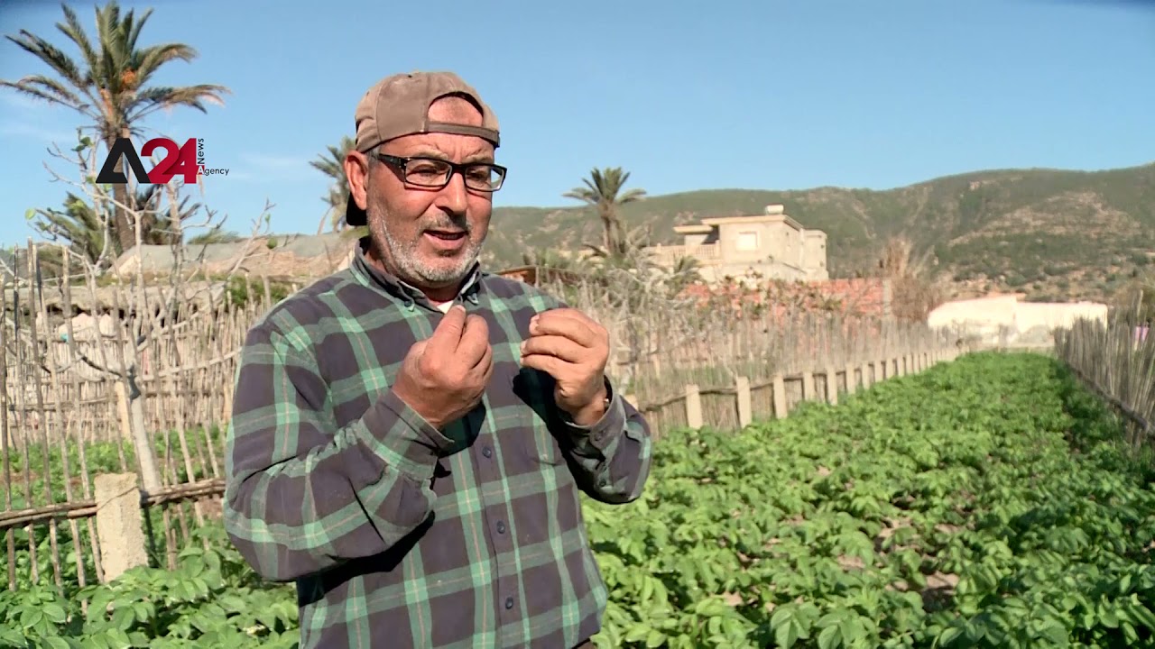 تونس - تجربة زراعية فريدة مرتبطة بمد وجزر البحر بقرية غار الملح