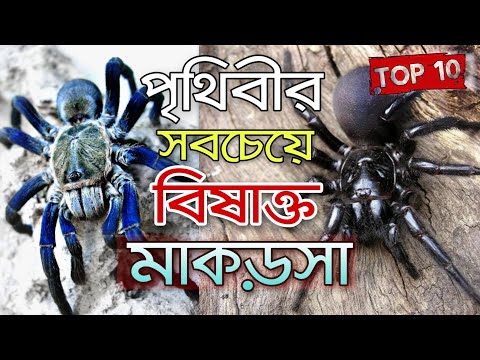 ভিডিও: ডায়াটোমাসিয়াস পৃথিবী কি বিষাক্ত?