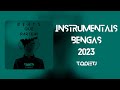 Starkeraz - Beats Que Partem a Cabeça 5 | Instrumentais de Afro House | BENGAS | 2023 | MASHUP