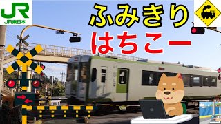 【踏切】JR八高線 歩道橋前踏切　Japan Railway crossing JR Hachiko LINE RAILWAY(Saitama japan)