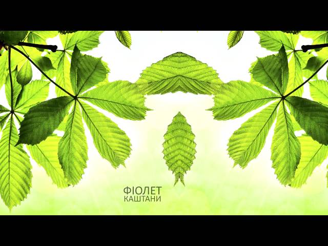 ФІОЛЕТ - Каштани