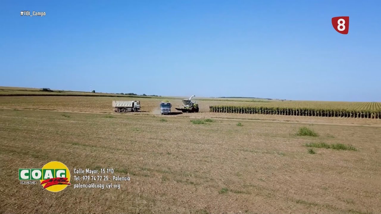 'Te damos ideas' 💡 Especial Campo 🚜 (30-01-2026)