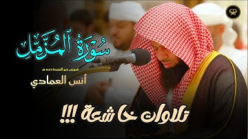 عشائية جميلة تلاوة لسورة المزمل بصوت الشيخ أنس العمادي | 20-4-1447 هـ